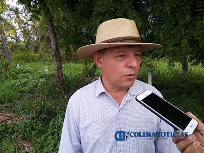 mauricio barreto