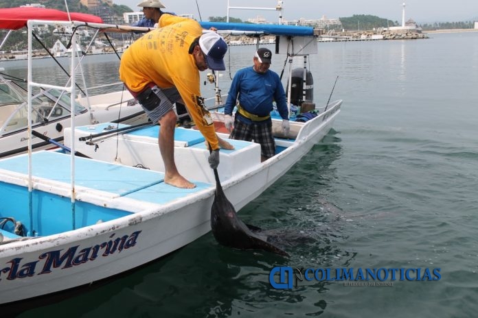 primer Torneo Empresarial de Pesca Deportiva