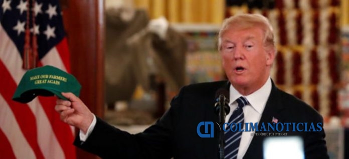 trump jul