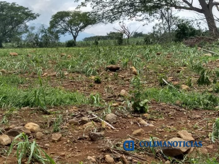 afectaciones por lluvia astillero de abajo
