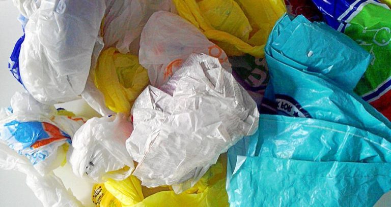 No más bolsas de plásticos, popotes y unicel en Quintana Roo