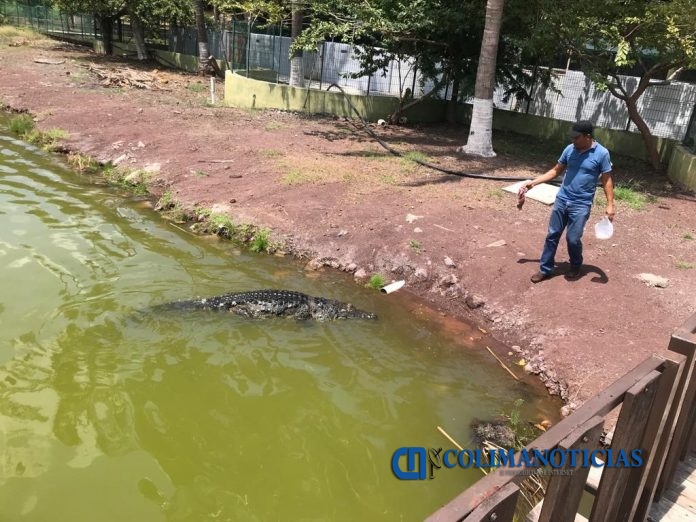 cocodrilario