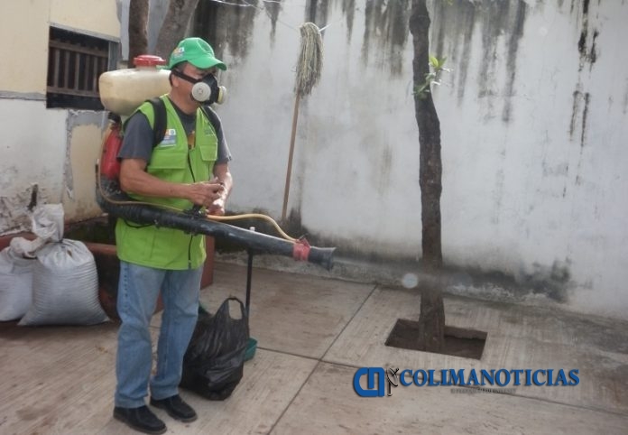 fumigadores