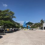 pez vela turismo manzanillo