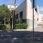 supremo tribunal de justicia colima