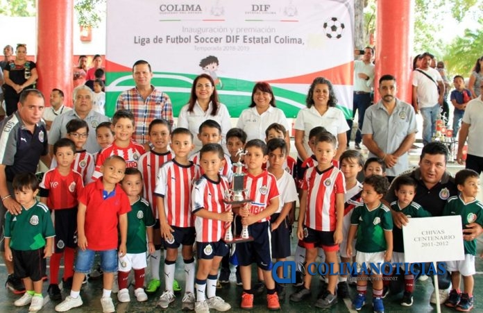 DIF Estatal (3)