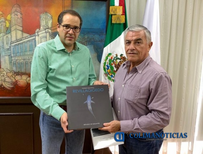 JIPS presentacion libro