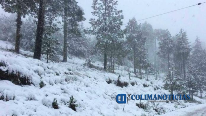nevada_toluca