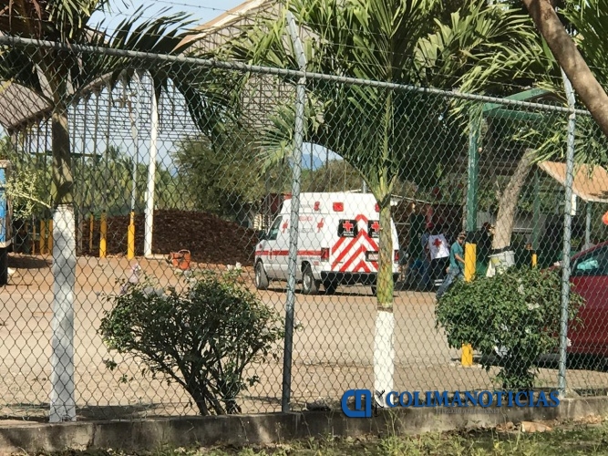 asalto procesadora coco