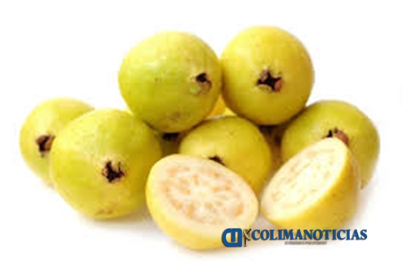 guayaba