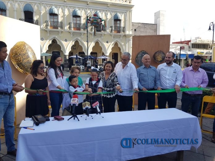invitan a cuidar las tortugas