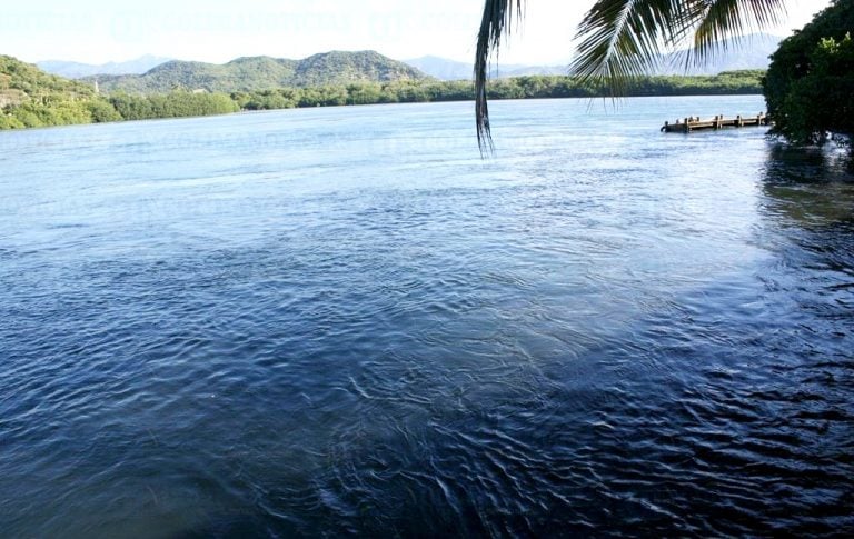 Asipona comprometida con la conservación de ecosistemas de la Laguna de Cuyutlán