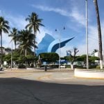 pez vela 2018