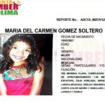 María del Carmen Gómez Soltero