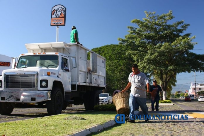 Recolección basura