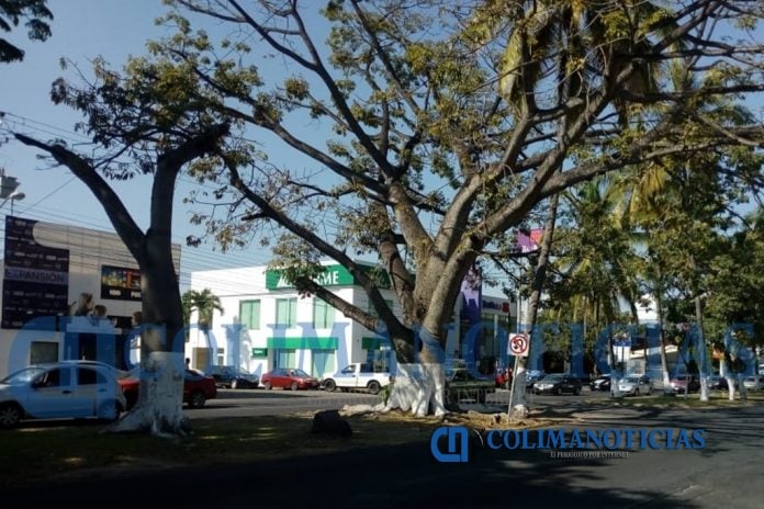 Reportan asalto a mano armada a un hombre afuera de Banco Afirme