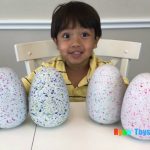 Ryan ToysReview