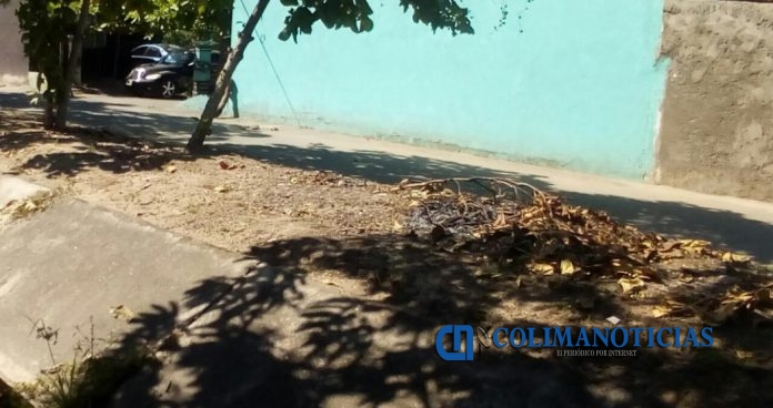 basura - cabeza humana