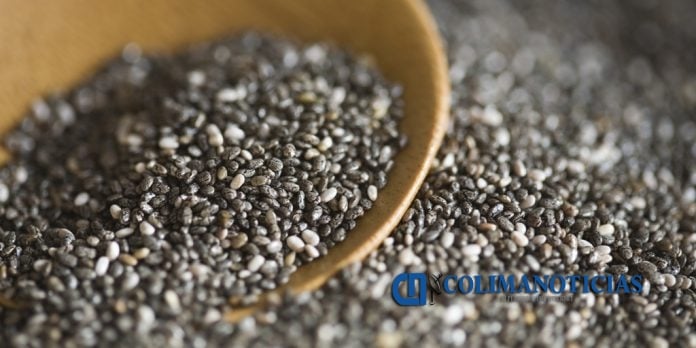 chia 2