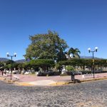coquimatlán Archivo jardin