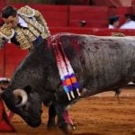fabian-barba-
