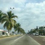 manzanillo avenida