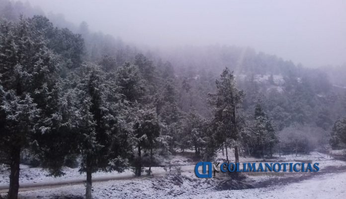 Cae ligera nevada y aguanieve en Chihuahua