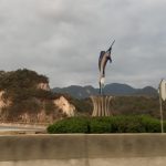 pez vela manzanillo carretera