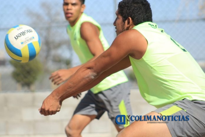 voleibol