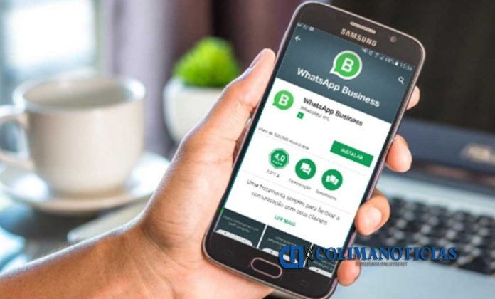 whatsapp business