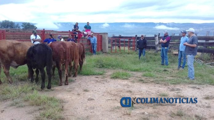 Capacitan universitarios a ganadres en Jalisco_d