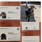 perritos contratados
