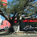 policia kiosko archivo