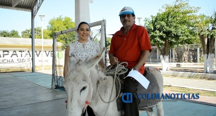 Entregan 127 MdP a casi 50 mil adultos mayores de pensiones de AMLO en Colima
