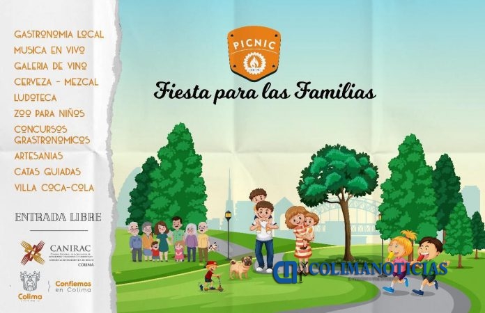 programa picnic 2019