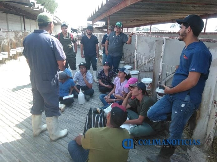 Estudiantes de veterinaria visitan complejo agropecuario en Hidalgo_b