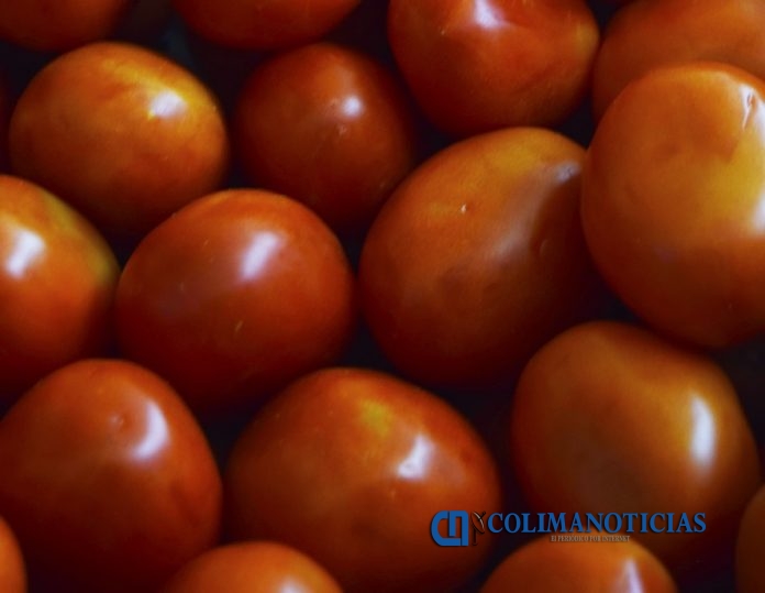 jitomates
