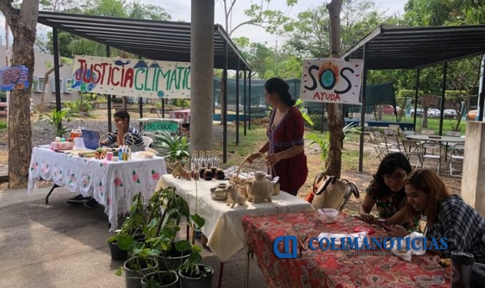 Eco-Fest 2019