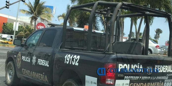 policia federal en manzanillo