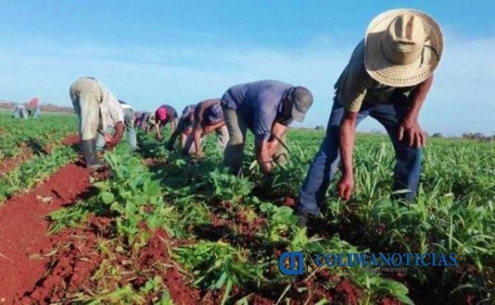 campesinos_Mexico