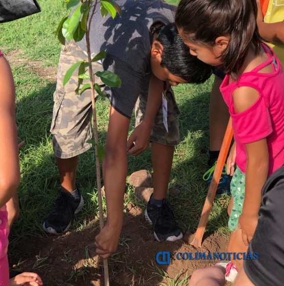 reforestacion colima
