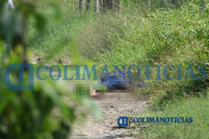 En un camino de terracería en Armería, localizan cuerpo sin cabeza y brazo