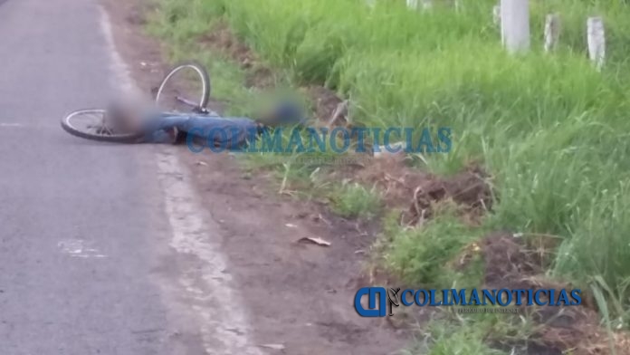muerto en autopista