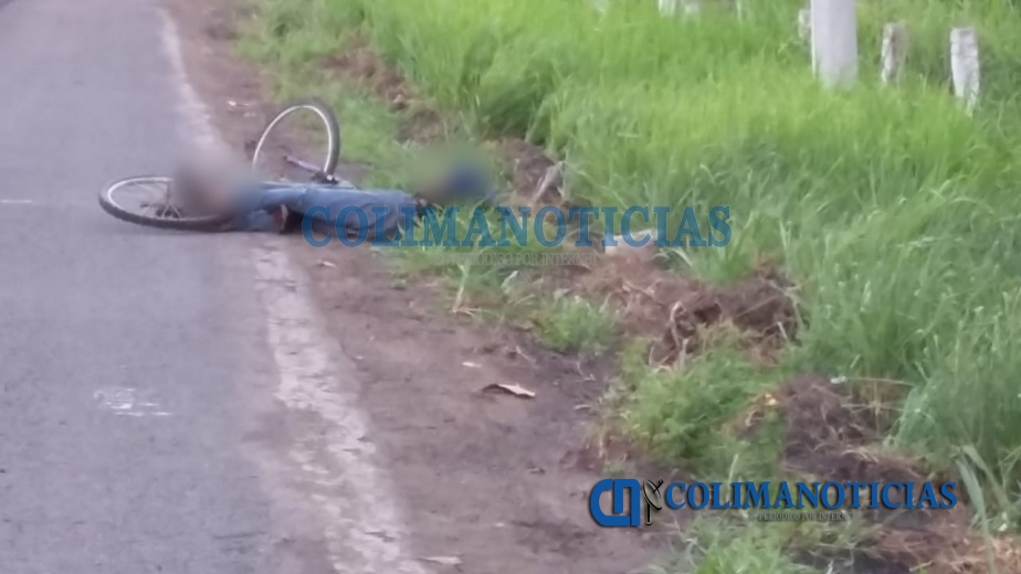 Hallan a un ciclista ejecutado y 13 casquillos en la Hallan a un ciclista ejecutado y 13 casquillos en la