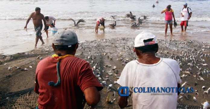 PESCADORES CHINCHORRO ACAPULCO 3