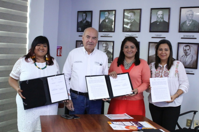 Implementarán en Colima el proyecto VIVE a favor de las mujeres: ICM - colimanoticias