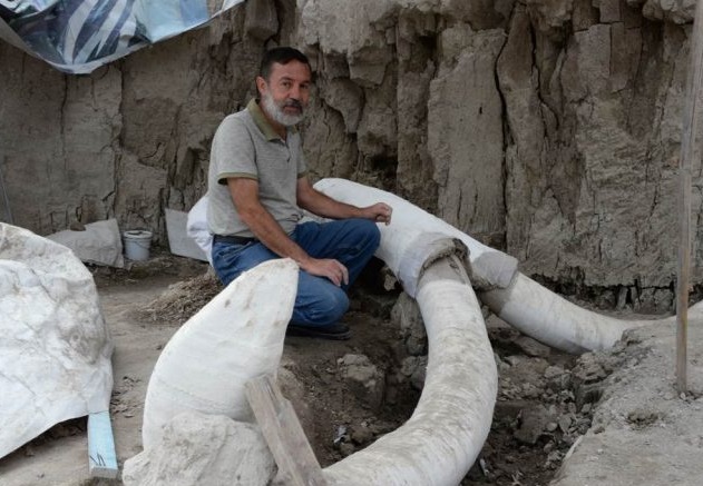 Descubren Complejo De Trampas Para Mamuts En Tultepec, México
