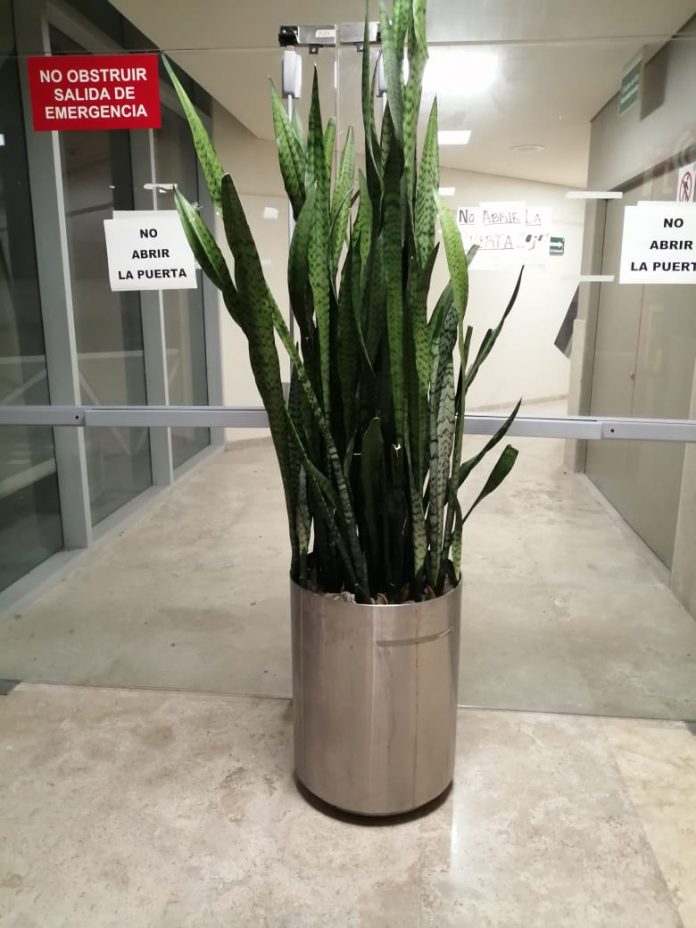 clinica 1 imss ojo ciudadano