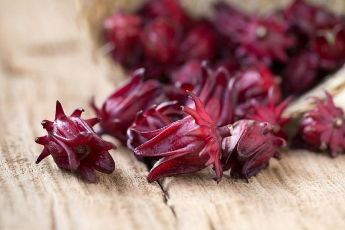 flor de jamaica