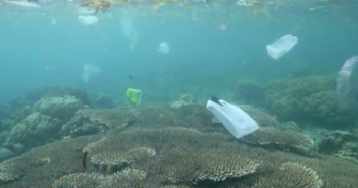 contaminacion mar
